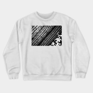 Maize Crewneck Sweatshirt